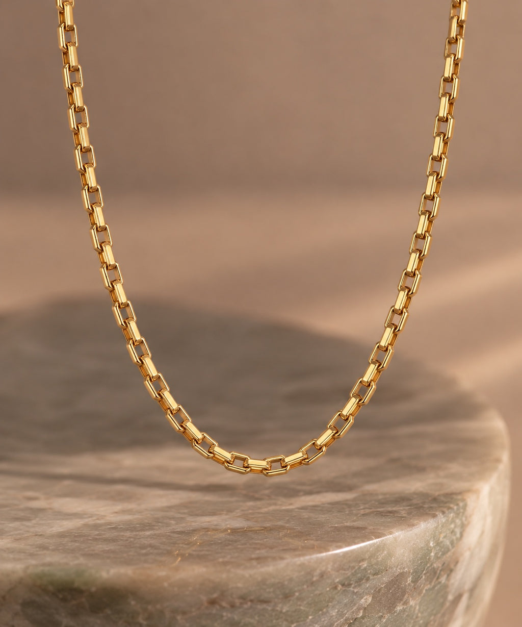 Sierra Link Chain Necklace studio
